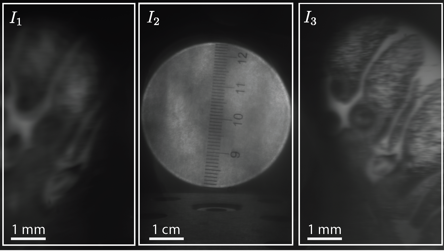 Representative captured sub-images